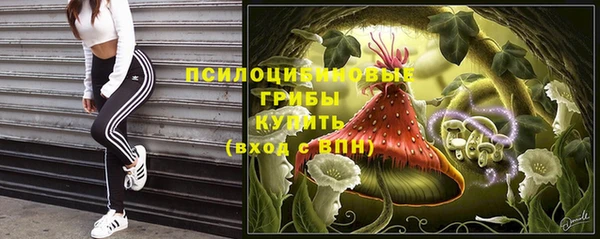 соль ск Медногорск